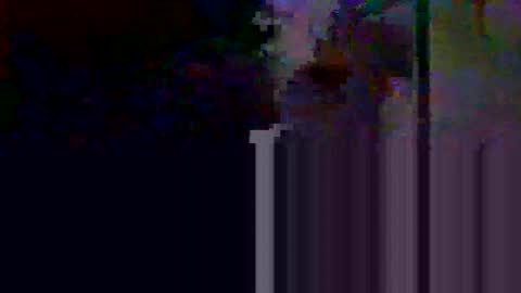 Snapshot of apolosimanu38 chatting on May 10, 2026, 8:58 pm apolosimanu38 online show from May 10, 2026, 8:58 pm