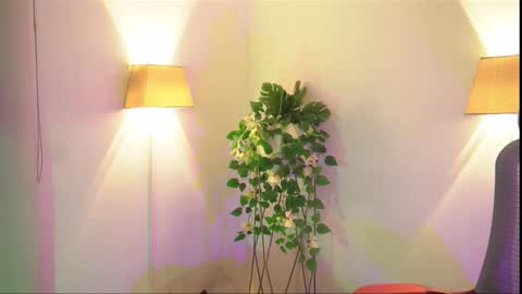 insta appolo master online show from November 26, 2025, 4:02 am