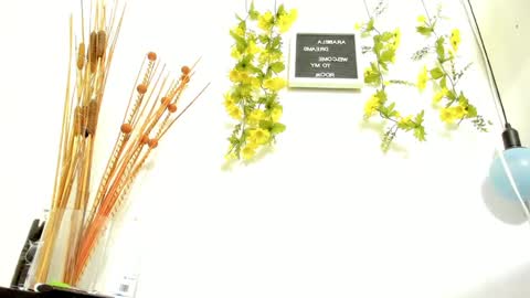 Snapshot of arabela_dream25 chatting on January 19, 2025, 1:21 am ARABELA online show from January 19, 2025, 1:21 am