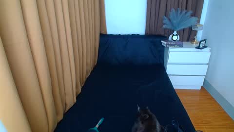 ARABELLA online show from March 9, 2025, 12:21 am