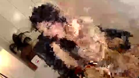 ARABELLA online show from June 2, 2026, 2:35 am