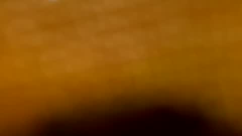 Aranza online show from July 16, 2026, 10:32 am