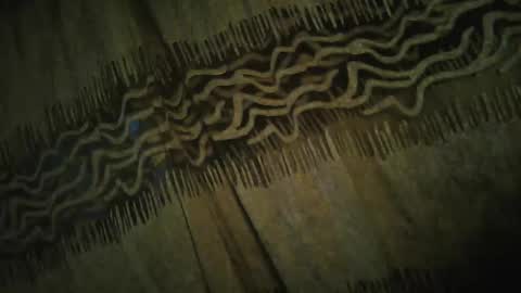 Snapshot of archkeinzas chatting on November 24, 2025, 4:34 am olo online show from November 24, 2025, 4:34 am