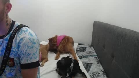 ariana_esteban07 online show from February 6, 2026, 10:29 am