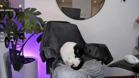 DaniAri - dimension X at night NY time online show from January 28, 2025, 3:47 am