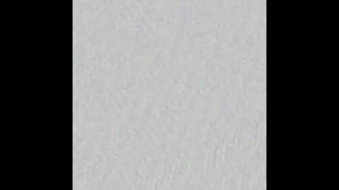 Arianna Collins online show from February 24, 2026, 11:52 am