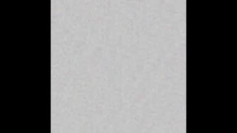 Arianna Collins online show from February 28, 2026, 11:44 am