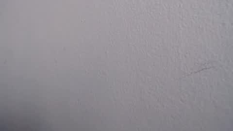 Snapshot of ariannaloovel chatting on June 13, 2026, 5:22 pm ariannaloovel online show from June 13, 2026, 5:22 pm
