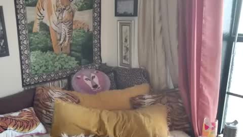 Arielle Ari online show from March 16, 2026, 4:55 pm