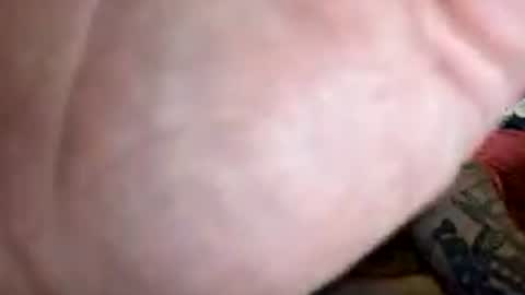 Arihard444 online show from July 19, 2026, 1:09 am
