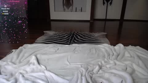 Snapshot of arinamir chatting on December 28, 2024, 6:28 am arinamir online show from December 28, 2024, 6:28 am