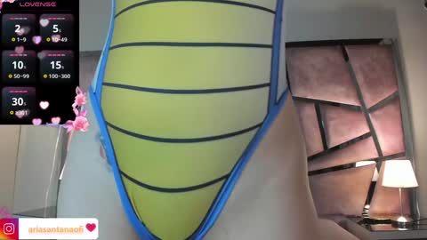 Snapshot of arisantana chatting on December 28, 2024, 11:09 am Aria online show from December 28, 2024, 11:09 am