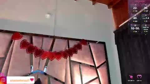 Snapshot of arisantana chatting on February 28, 2025, 12:52 pm Aria online show from February 28, 2025, 12:52 pm