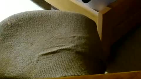 Snapshot of arnie12 chatting on June 20, 2026, 1:03 pm Arnie online show from June 20, 2026, 1:03 pm