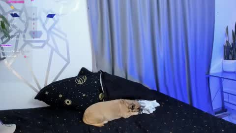 Snapshot of aron_santoro1 chatting on January 12, 2025, 4:31 am Aron Santoro online show from January 12, 2025, 4:31 am