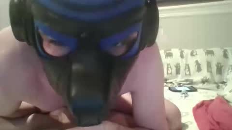 Snapshot of arrowpup chatting on June 5, 2026, 9:09 pm arrowpup online show from June 5, 2026, 9:09 pm