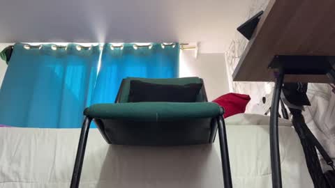 Snapshot of arteemiis chatting on January 5, 2025, 10:32 am online show from January 5, 2025, 10:32 am