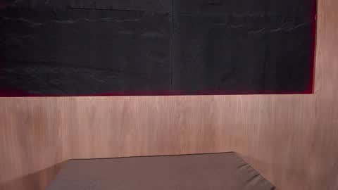 Snapshot of artemisablake chatting on January 24, 2025, 3:55 pm artemisablake online show from January 24, 2025, 3:55 pm