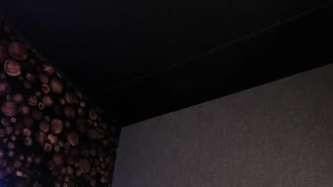 Snapshot of artemisablake chatting on March 7, 2025, 8:00 pm artemisablake online show from March 7, 2025, 8:00 pm