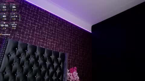 Snapshot of artemisablake chatting on September 20, 2025, 5:03 pm artemisablake online show from September 20, 2025, 5:03 pm