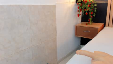 Snapshot of arya_nahalii chatting on December 29, 2024, 8:04 pm Ana online show from December 29, 2024, 8:04 pm