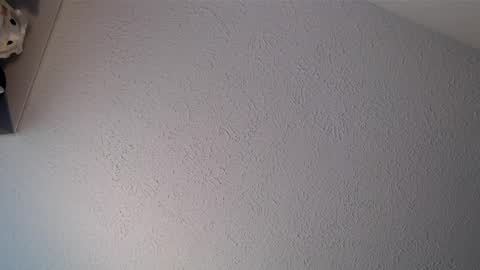 a secret you must keep online show from March 25, 2026, 12:33 pm