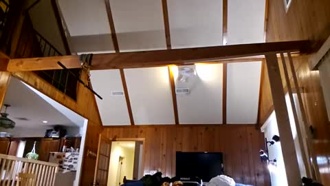 Ashelynn Grey online show from February 27, 2025, 2:21 am