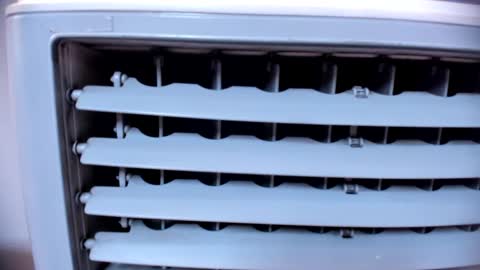 ashlybenison online show from January 25, 2025, 7:38 am