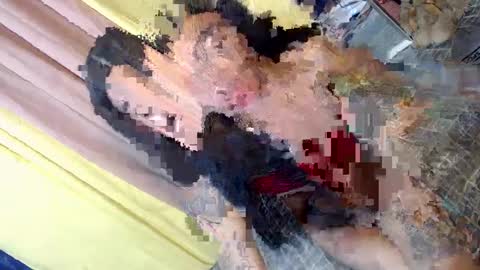 Snapshot of asian_kimxxx chatting on January 30, 2025, 2:58 pm don online show from January 30, 2025, 2:58 pm