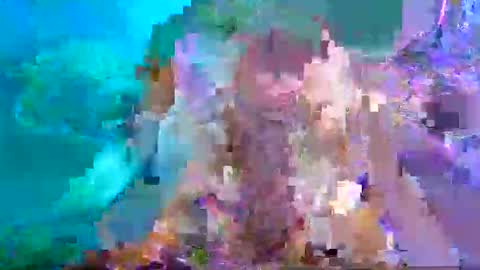 Aspy online show from January 26, 2025, 10:46 pm