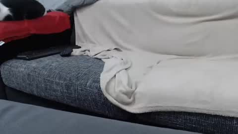 MARCO online show from January 16, 2025, 6:59 pm