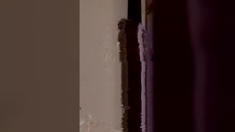 Snapshot of asya_new chatting on May 27, 2026, 9:34 pm asya_new online show from May 27, 2026, 9:34 pm