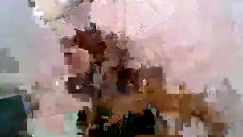 aurelia107 online show from May 31, 2026, 3:08 pm