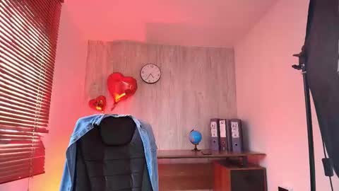 Snapshot of aurorabrow chatting on February 13, 2026, 9:33 pm Ariana online show from February 13, 2026, 9:33 pm