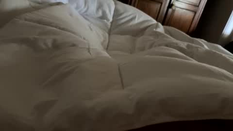 aussieguy1584 online show from February 21, 2026, 10:55 pm