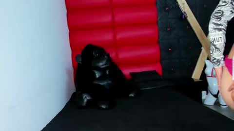 avi_thomsonn online show from March 13, 2026, 3:13 am