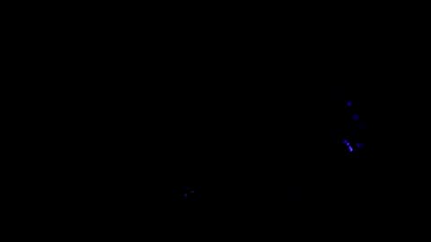 Snapshot of axell_cross2 chatting on July 28, 2026, 11:17 am Axell Cross2 online show from July 28, 2026, 11:17 am