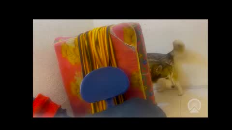 Snapshot of axelpadilla98 chatting on February 4, 2026, 5:02 am deliciosodemente online show from February 4, 2026, 5:02 am