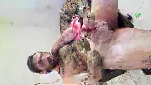 Snapshot of axelpadilla98 chatting on March 4, 2026, 12:38 am deliciosodemente online show from March 4, 2026, 12:38 am