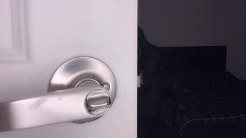 Snapshot of ayacolada chatting on March 7, 2026, 8:00 am Aya online show from March 7, 2026, 8:00 am