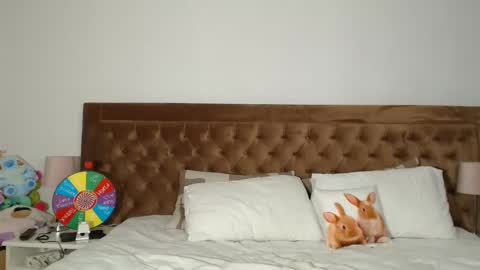 Aylin online show from December 31, 2024, 4:16 am