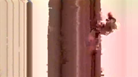 ayquericoseve online show from November 28, 2025, 3:31 am