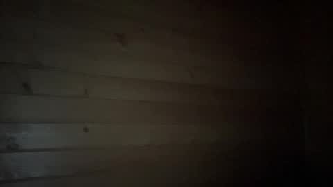 Snapshot of ayshekisskitty chatting on January 9, 2025, 9:16 pm ViktoranMary online show from January 9, 2025, 9:16 pm