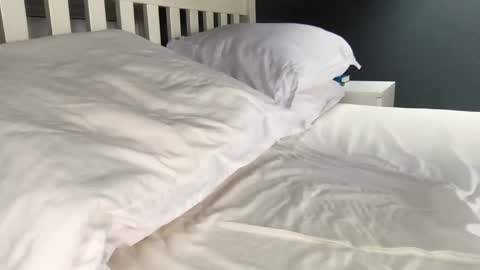 b1gd0ng1111 online show from September 17, 2025, 9:44 am