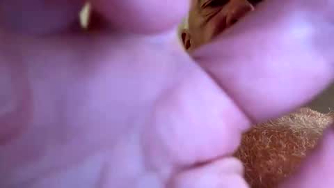 Snapshot of b_benito chatting on September 28, 2025, 7:52 pm benito online show from September 28, 2025, 7:52 pm