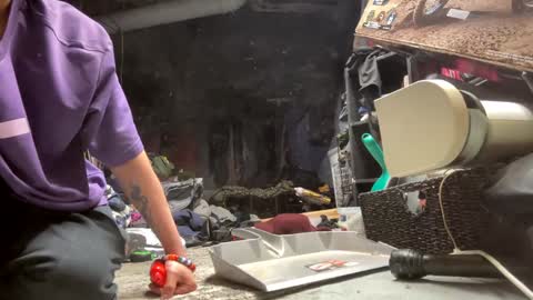 baby buddha  online show from December 30, 2024, 10:53 am