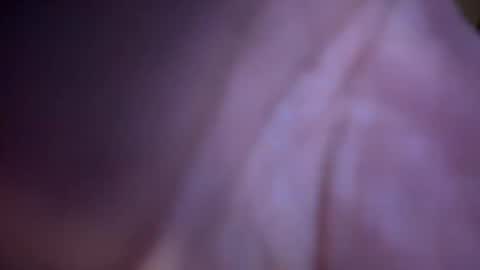 baby buddha  online show from January 29, 2025, 1:28 pm