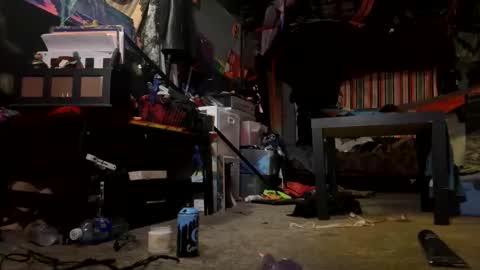 baby buddha  online show from February 4, 2025, 4:48 am