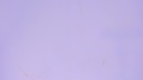 Valentina online show from May 10, 2026, 8:47 pm