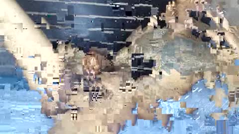 rastafaria online show from February 3, 2026, 6:40 am